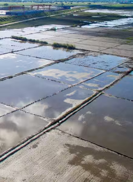 Agriculture Land Analysis Drone Philippines